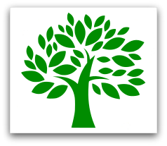[immagine] Albero